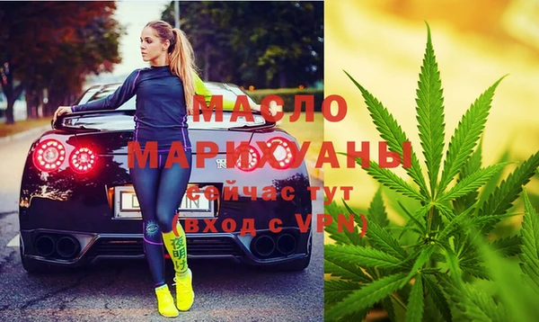 гашик Коряжма