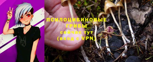 кокс Козельск