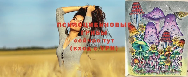 кокс Козельск
