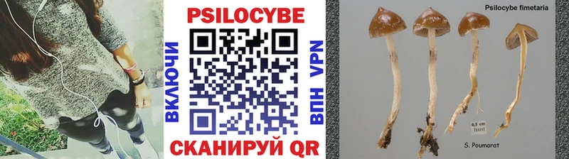 Псилоцибиновые грибы Magic Shrooms  мориарти какой сайт  Кораблино  купить наркотик  blacksprut ССЫЛКА 