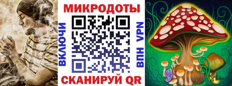 Галлюциногенные грибы Psilocybe Кораблино